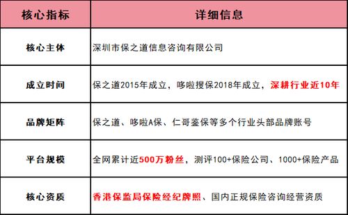 保之道 深耕互联网保险近十年，引领行业创新之路
